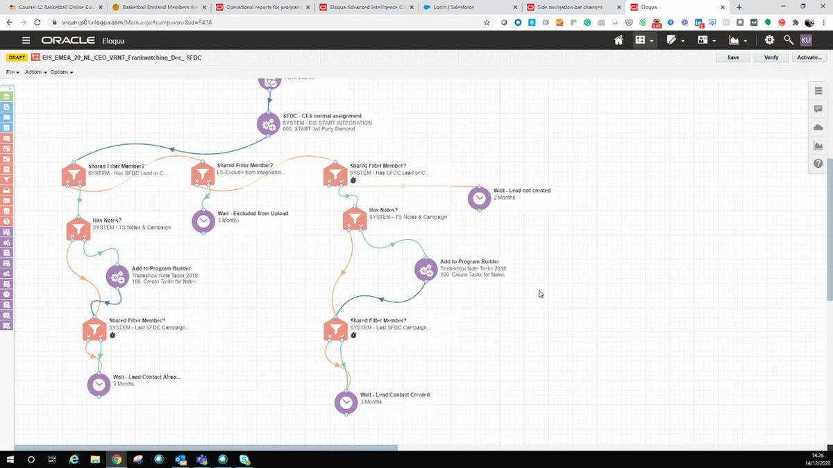 Eloqua_Verify a campaign Documented interest with SFDC ID